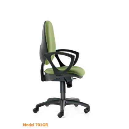 Picture Ergonomic chair for the executive