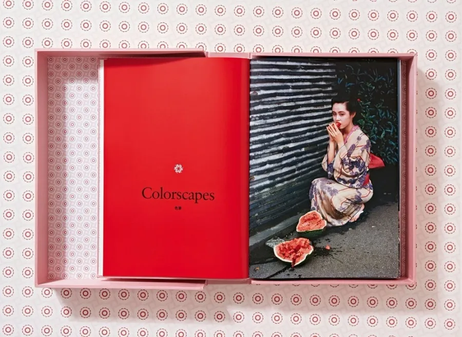 obrazek 5 Książka Araki - Taschen