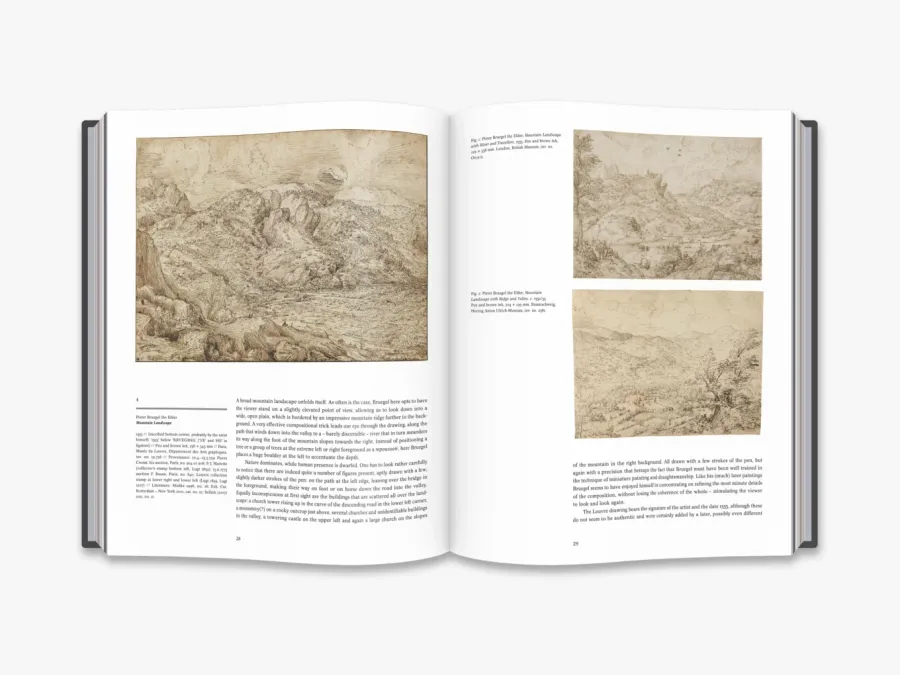 obrazek 2 Książka Bruegel Mistrz - Thames & Hudson