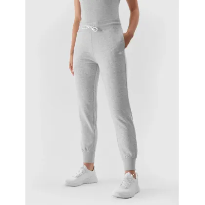 Zdjęcie 4F Spodnie dresowe 4FAW23TTROF474 Szary Regular Fit