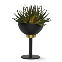 Zdjęcie Piękna donica Dry do lukusosowych wnętrz