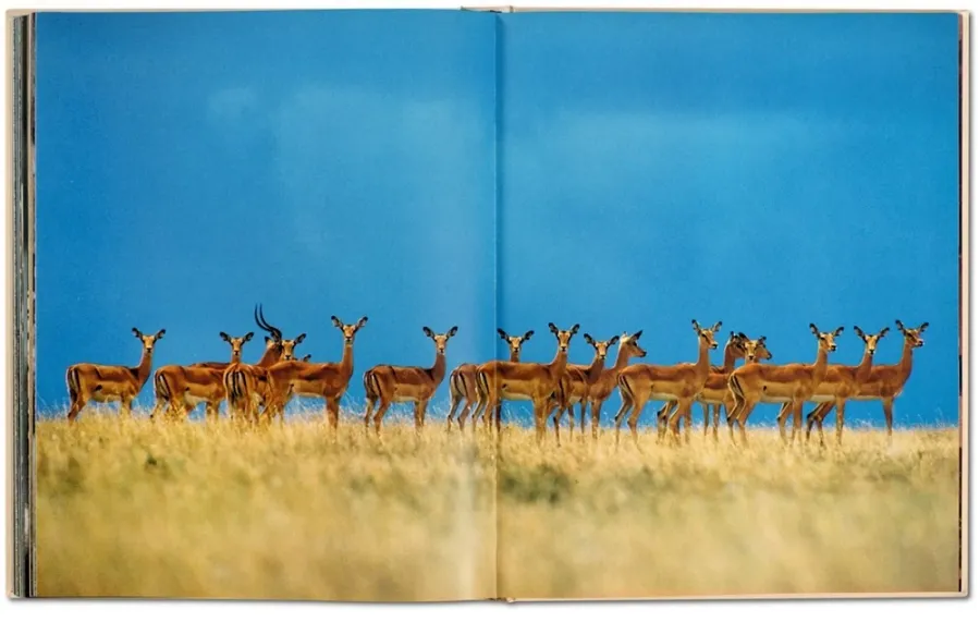 obrazek 10 Książka Frans Lanting. Eye to Eye - Taschen
