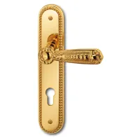 Picture Cadice brass door handle with gold finish