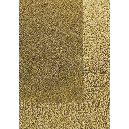 Picture Luxurious gold smooth carpet - TWINSET BORDER IN LOOP PILE 21306