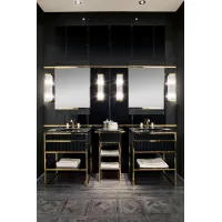Picture Luxurious wall-mounted toilet cabinet - Oasis