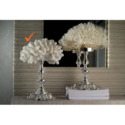 Picture Coral on a base made of silver-plated nickel brass