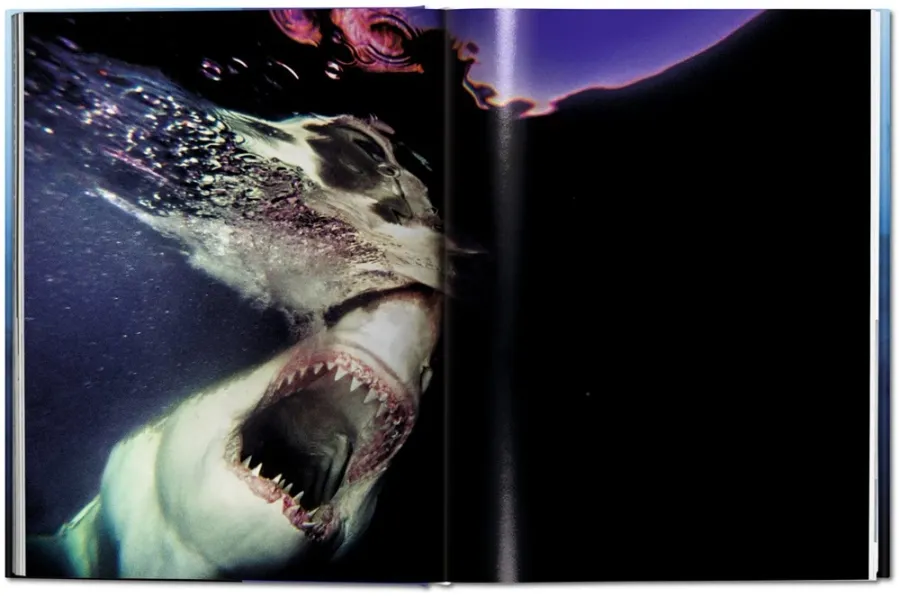 obrazek 9 Książka Michael Muller. Sharks. Face-to-Face with the Ocean’s Endangered Predator - Taschen