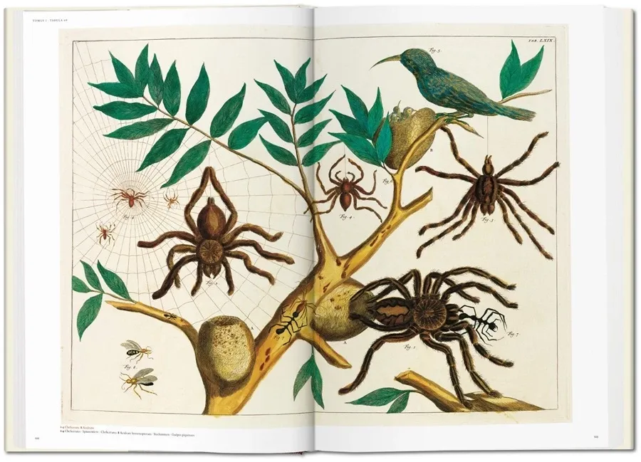 obrazek 7 Książka Albertus Seba. Cabinet of Natural Curiosities - Taschen