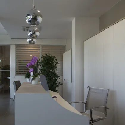 Zdjęcie Elegancka recepcja biurowa - Prof