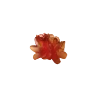 Picture Decorative small flower – Saffron model