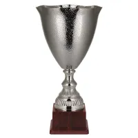 Zdjęcie Niezwykłe trofeum sportowe - puchar