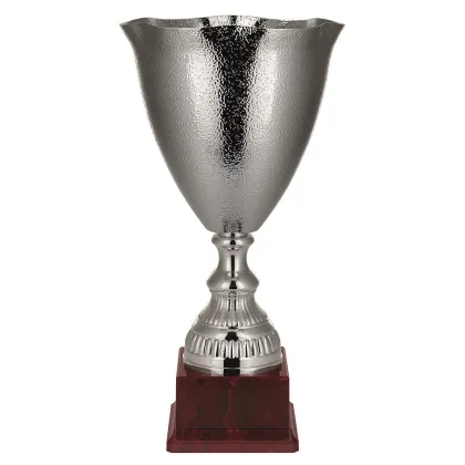 Zdjęcie Niezwykłe trofeum sportowe - puchar