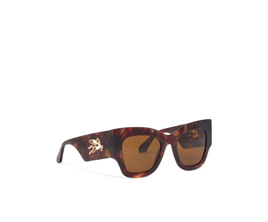 obrazek 1 Etro Okulary przeciwsłoneczne 0076/S 207798 Brązowy