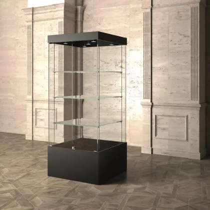 Picture Beautiful, stylish museum display case