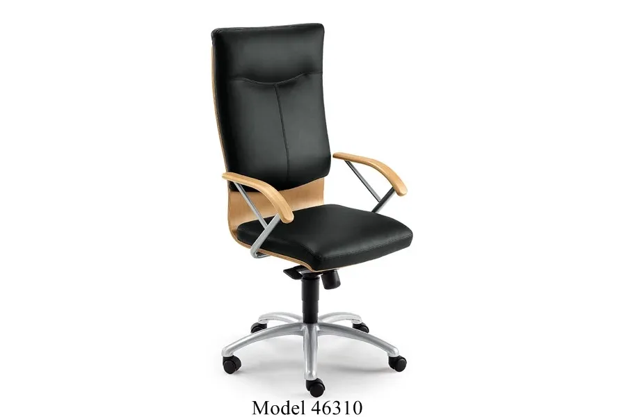 picture 1 Armchair for office - combination of wood and leather Ducale Lux