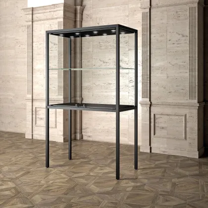Picture Elegant museum display case on high legs