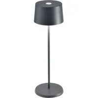 Picture Exclusive table lamp from the Olivia collection