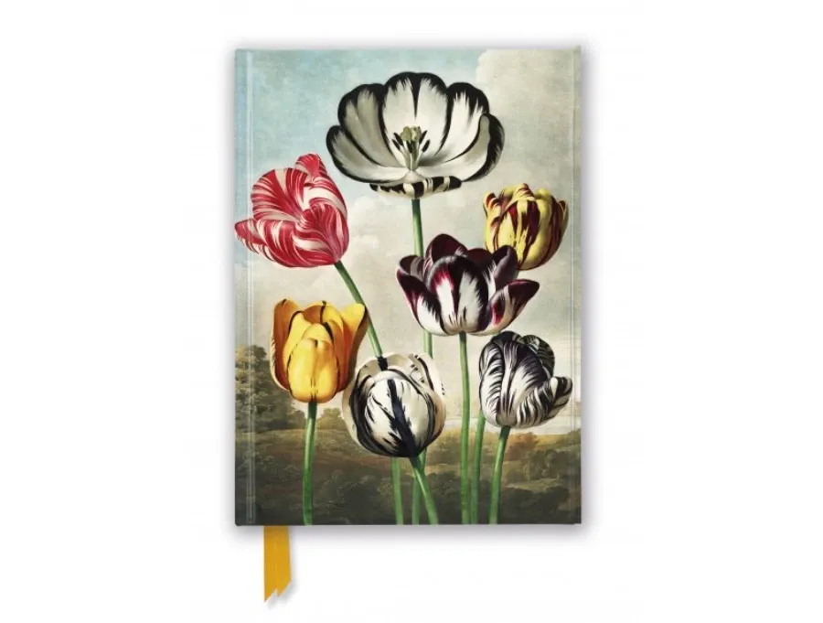 obrazek 1 Dziennik (Świątynia Flory: Tulipany) - Flame Tree Publishing