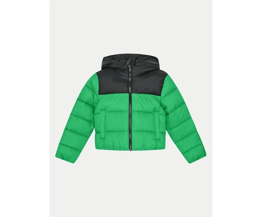 obrazek 1 4F Kurtka zimowa 4FJWAW24TDJAM462 Zielony Regular Fit