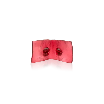 Zdjęcie Kryształowa rzeźba Księga Pocałunków Dominika Viala