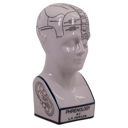 Zdjęcie Głowa frenologiczna w kolorze białym - Authentic Models