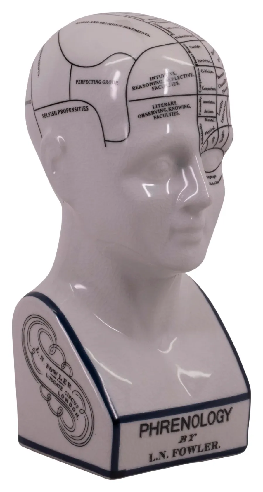 obrazek 1 Głowa frenologiczna w kolorze białym - Authentic Models