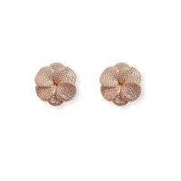 Picture Luxurious 18K rose gold earrings with silver plated white zircons