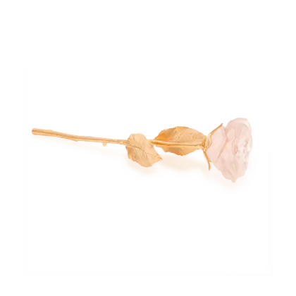 Zdjęcie Wieczna róża w kolorze pudrowego różu – marka Daum