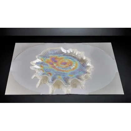 Zdjęcie Designerski talerz w kształcie perły na elegancki stół