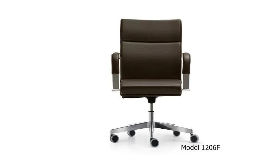 picture 2 President  comfortable leather armchair