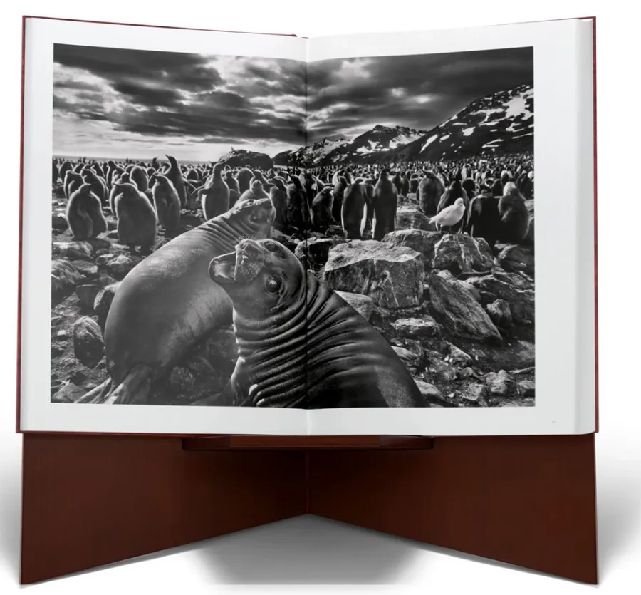 obrazek 7 Książka Sebastião Salgado. GENESIS, Art Edition No. 1–100 ‘Two Mursi Women, Omo Valley, Ethiopia’ - Taschen