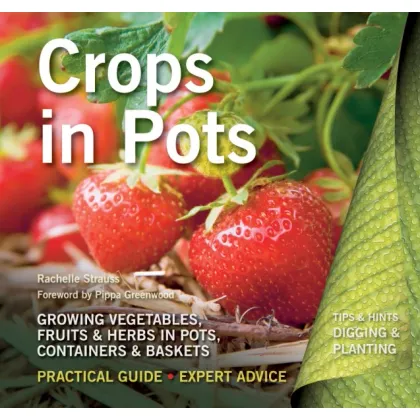 Zdjęcie Poradnik Uprawy w doniczkach - Flame Tree Publishing