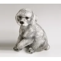 Picture Poodle figure - Il Gattopardo