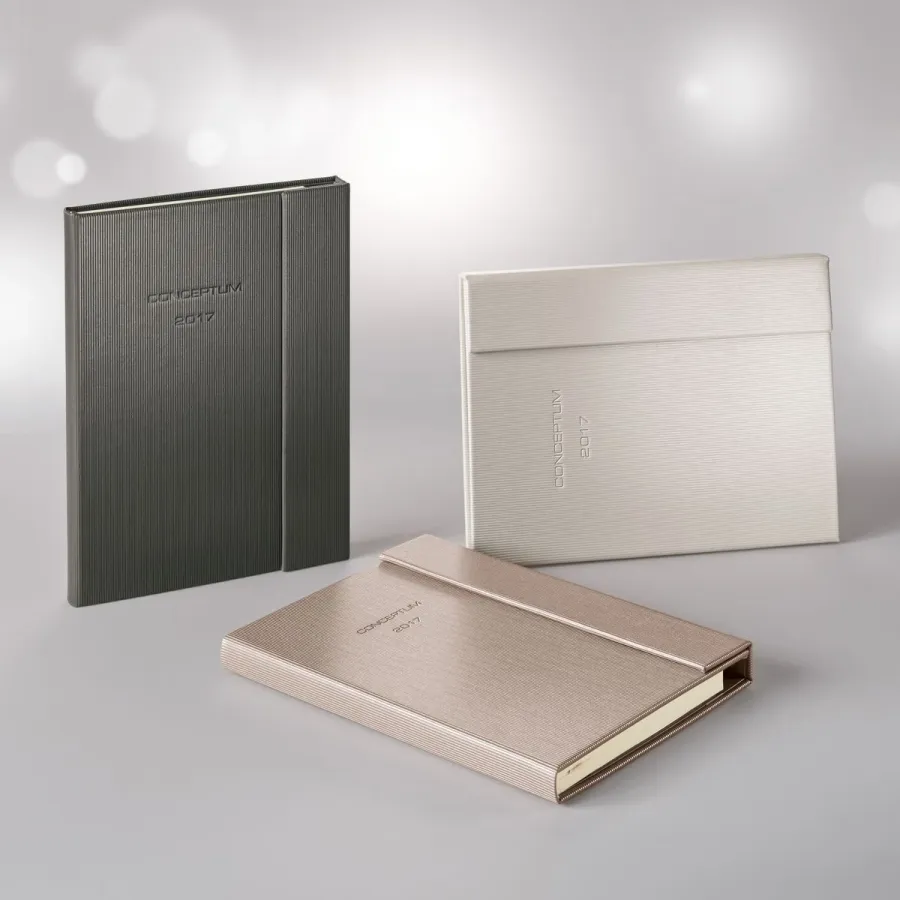 obrazek 13 Champagne metallic - Organizer od marki Sigel