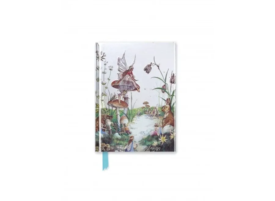 obrazek 1 Dziennik kieszonkowy (Jean i Ron Henry: Bajka)- Flame Tree Publishing