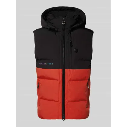 Zdjęcie Kamizelka funkcyjna o kroju regular fit z kapturem model ‘ROYAL FLASH’