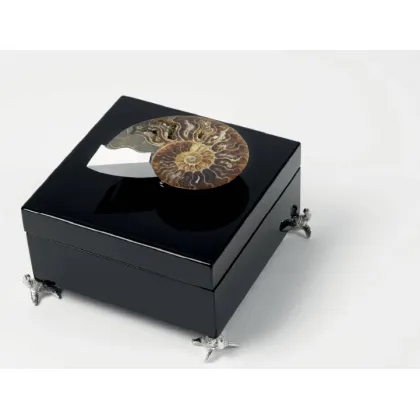 Picture A charming black box with ammonites for jewelry