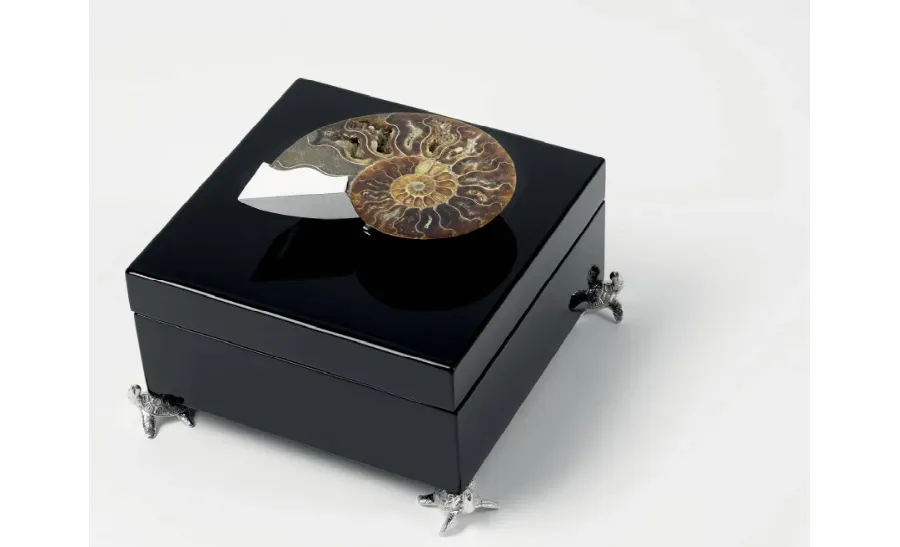 obrazek 1 Urokliwe czarne pudełko z amonitami na biżuterię