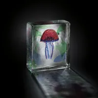 Zdjęcie Szklane akwarium z meduzą Murano