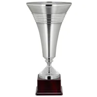 Picture An unusual silver cup for competitions