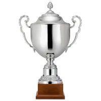 Picture Luxurious cup for sports competitions