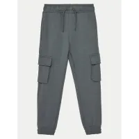 Zdjęcie NAME IT Spodnie dresowe 13224991 Szary Relaxed Fit