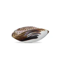 Picture Original shell-shaped bowl
