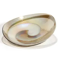 Picture A unique plate made of mother of pearl