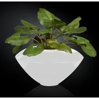 Picture An avant-garde decorative flower pot by the Italian company VG