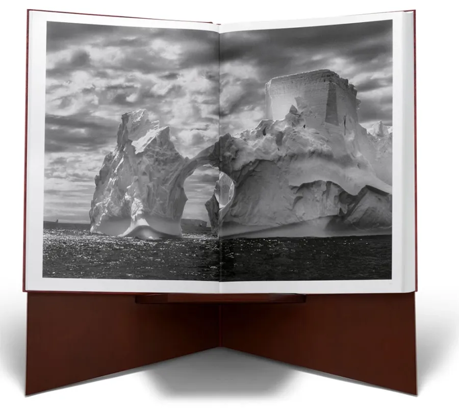 obrazek 9 Książka Sebastião Salgado. GENESIS, Art Edition No. 201–300 ‘Black-Browed Albatrosses, Falkland Islands’ - Taschen