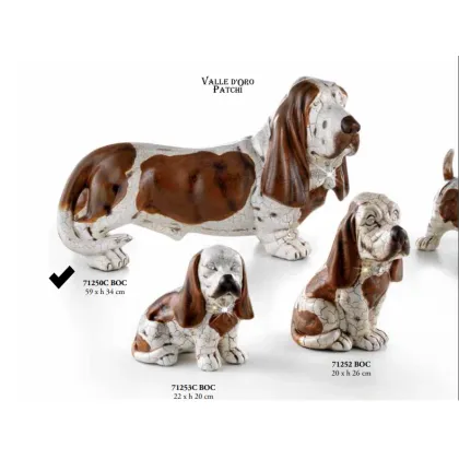 Picture Large dachshund in a collar - Valle d'oro Patchi