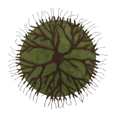 Picture A carpet referring to the roots of a tree - ROOTS