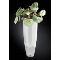Picture A modern Lotus flower set for the Luxury Products apartment