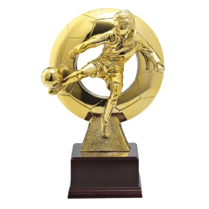 Zdjęcie Trofeum na mecz piłkarski